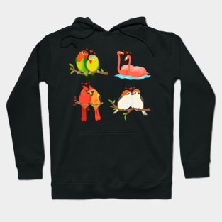 Lovely Birds Hoodie